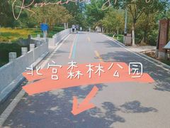 -北宫国家森林公园