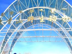 -大青山野生动物园