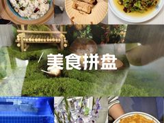 -七采菌园·野生菌石锅鱼(环城北路店)