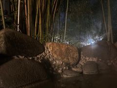 -咸宁万豪温泉谷度假区