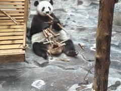 -济南野生动物世界