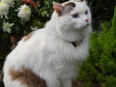 -KUYE·裤爺炼金室·银饰DIY(大运河店)