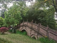 -桂湖森林公园