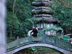 -深圳国际园林花卉博览园