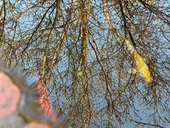 -辛庄国际文化艺术区