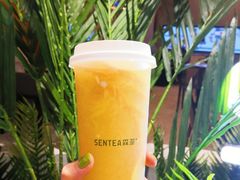 -SENTEA森茶(麦地丽日店)