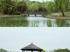 -梁鸿国家湿地公园