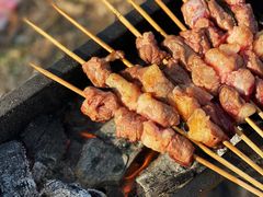 -蒲河岛湿地公园