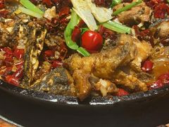 -老板恋上鱼(高新万达店)
