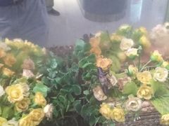 -上海昆虫博物馆