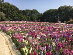-广州市流溪河国家森林公园