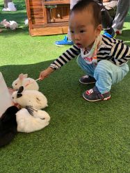 -萌宠亲子动物乐园(槐房万达店)