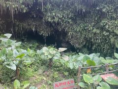 -海口火山口国家地质公园