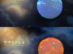 -浙江自然博物院(杭州馆)