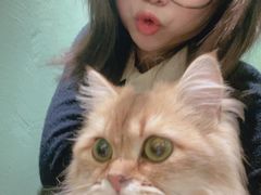 -柯斗斗主题餐厅·狗咖·围炉煮茶·茶饮(国瑞升平里店)