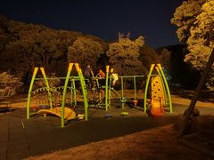 -苏州金鸡湖大酒店