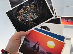 -罗红摄影艺术馆