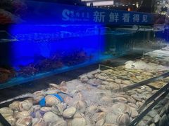-苏格里岛自助海鲜烤肉(青秀万达店)