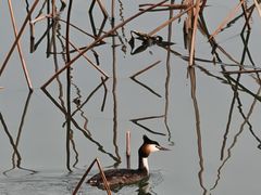 -申德勒加油站西餐厅(太仓店)