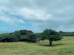 -鹅銮鼻公园