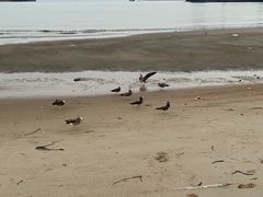-海驴岛(荣成市)