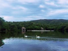 -清迈夜间动物园