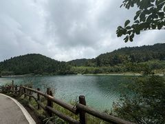 -武陵山森林公园