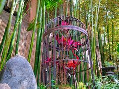 -陈熹公民族美食文化餐厅(中华广场店)