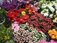 -双季花艺园艺市场(浦东店)