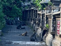 -乌鲁瓦图寺