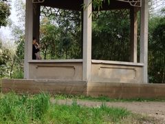 -菊花台公园