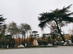 -莲湖公园