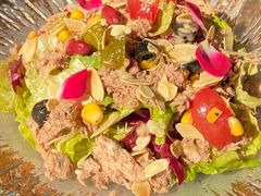 -一棵树·意大利西餐厅One Tree(新城店)