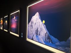 -罗红摄影艺术馆