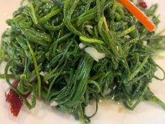 沙葱-巴依老爷新疆美食(望京小街店)