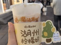 -猫的魔法密林(衣裳街店)