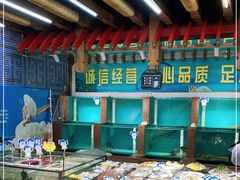 -大清花饺子(五五路店)