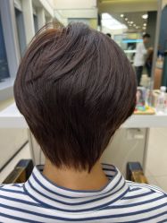 点击看大图 -GANO HAIR