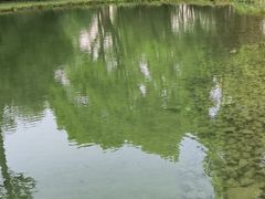 -湖泉水云间餐厅·弥勒地道菜(B座店)