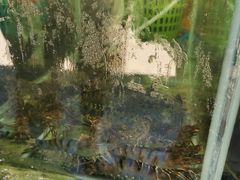 -沙扒湾