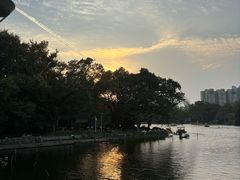 -荔湾湖公园