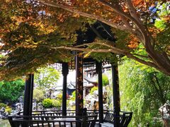 -上海皇廷花园酒店·西餐厅·自助餐