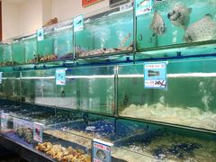 水产区-南海渔家•海鲜•正宗海南菜(海棠湾店)