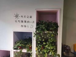 -初心HAlRSALON烫染接发
