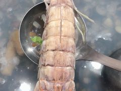 -凯华海鲜火锅·传承三十六年