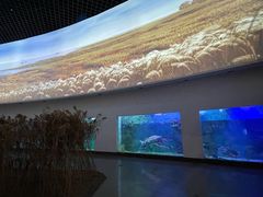 -上海长江河口科技馆