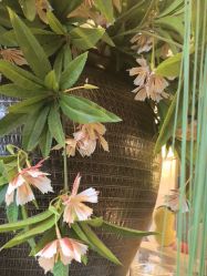 -RUMI日弥美容会所