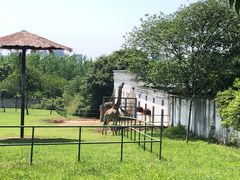 -合肥野生动物园