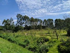 -三圣花乡旅游区