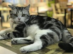 -小时光咖啡馆(开森度假森林店)